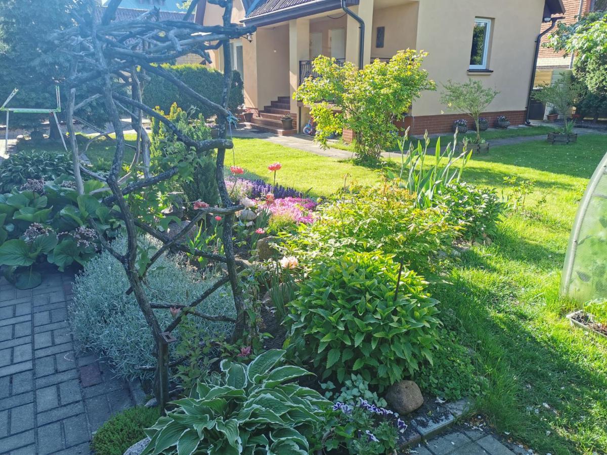 Poilsis Pas Virginija Apartment Palanga Exterior foto